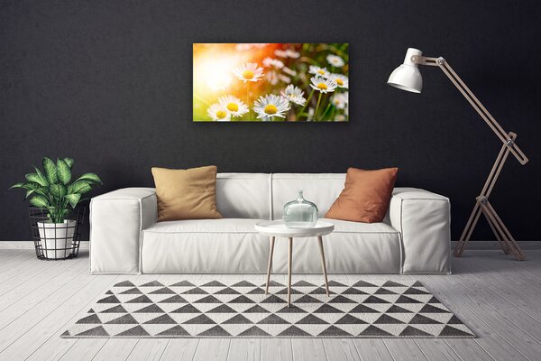 Obraz canvas Stokrotki w Promieniach Słońca