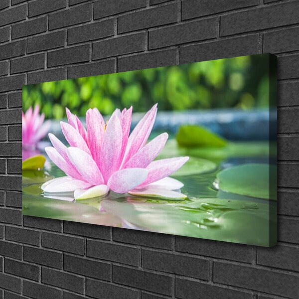 Obraz canvas Kwiat Lotosu na Lustrze Wody