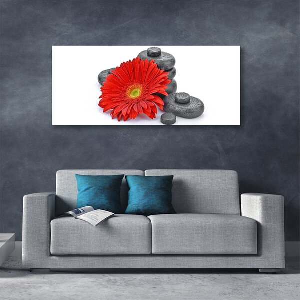 Obraz canvas Wyrazista Czerwona Gerbera