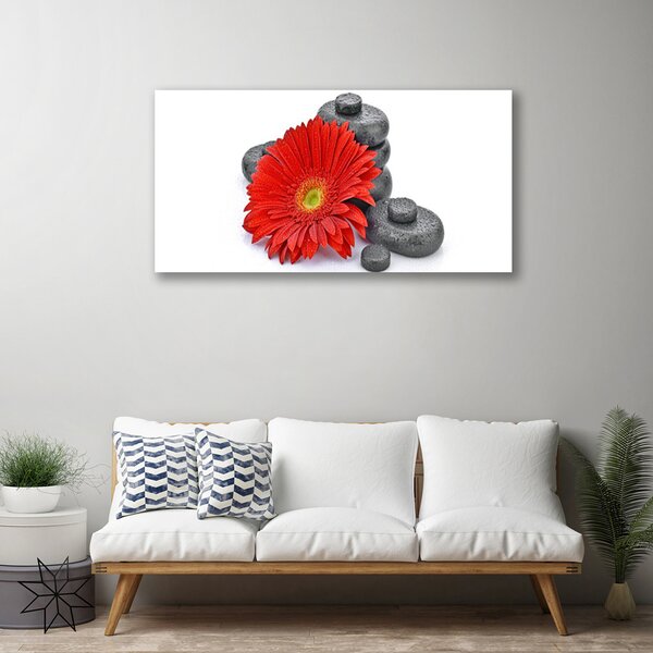 Obraz canvas Wyrazista Czerwona Gerbera