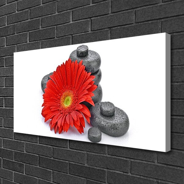 Obraz canvas Wyrazista Czerwona Gerbera
