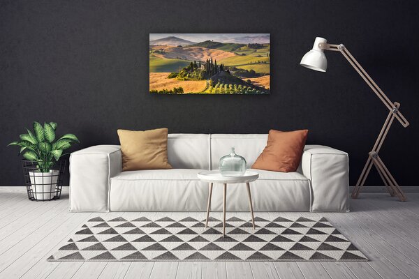 Obraz canvas Sielska Chata na Wyżynie