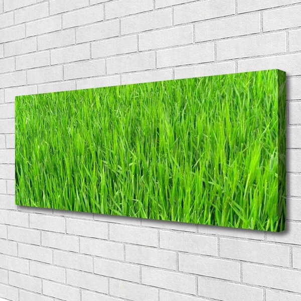 Obraz canvas Soczysta Zielona Murawa