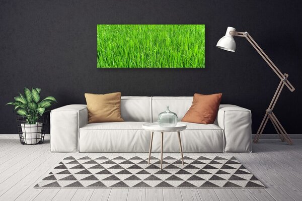 Obraz canvas Soczysta Zielona Murawa