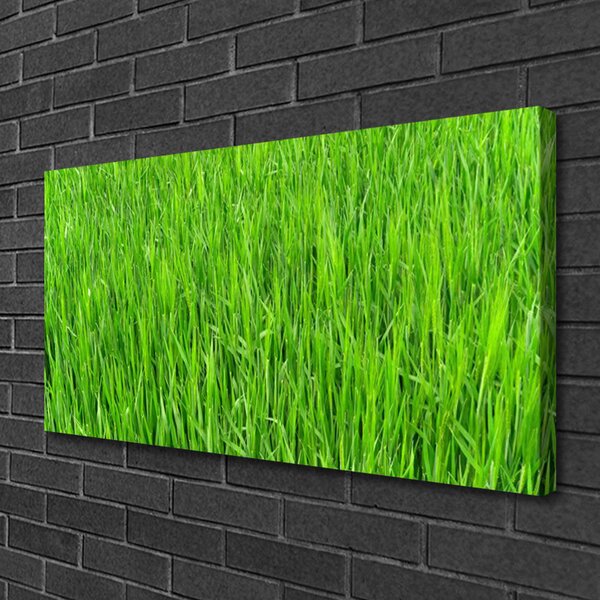 Obraz canvas Soczysta Zielona Murawa