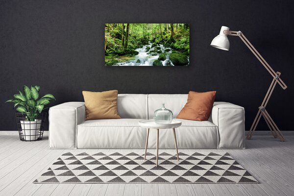 Obraz canvas Szumiący Potok w Gęstwinie Lasu