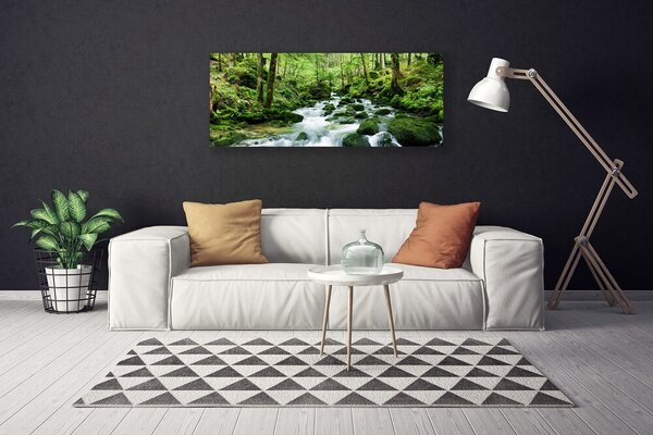 Obraz canvas Szumiący Potok w Gęstwinie Lasu