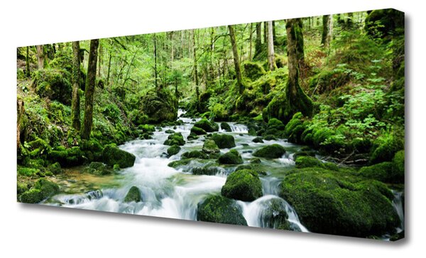 Obraz canvas Szumiący Potok w Gęstwinie Lasu