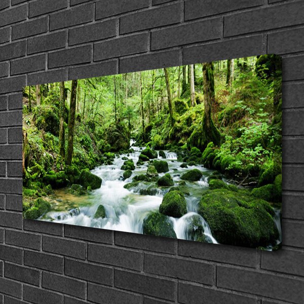 Obraz canvas Szumiący Potok w Gęstwinie Lasu