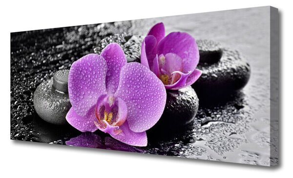 Fotoobraz na płótnie Egzotyczna Orchidea w Gabinecie Spa