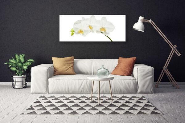 Obraz canvas Świeże Pędy Kwitnącej Orchidei