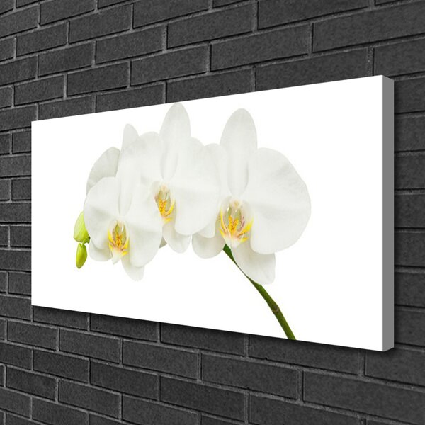 Obraz canvas Świeże Pędy Kwitnącej Orchidei
