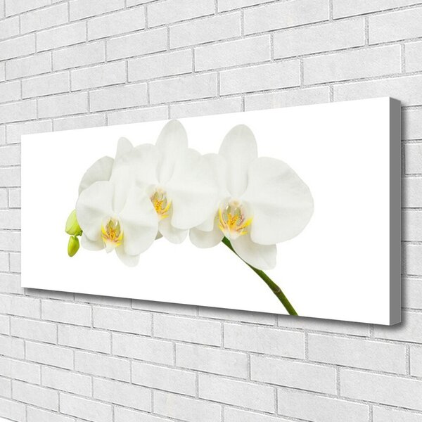 Obraz canvas Świeże Pędy Kwitnącej Orchidei