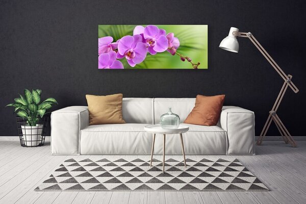 Obraz canvas Szlachetna Elegancja Storczyka