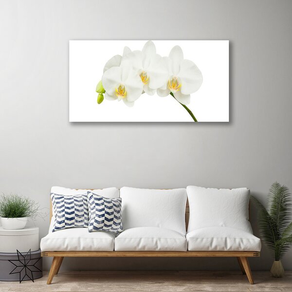Obraz canvas Świeże Pędy Kwitnącej Orchidei