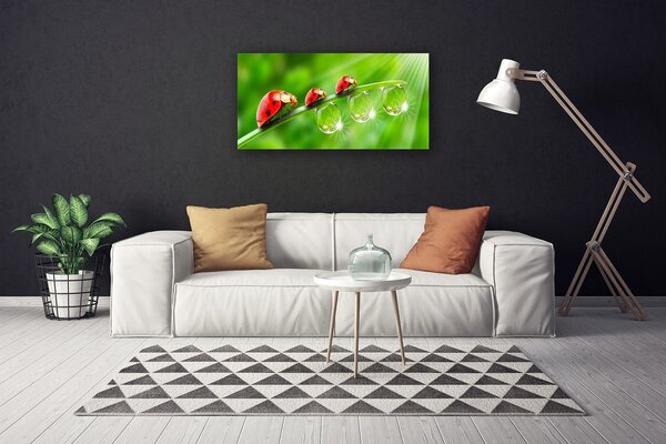Obraz canvas Biedronki w Porannej Rosie