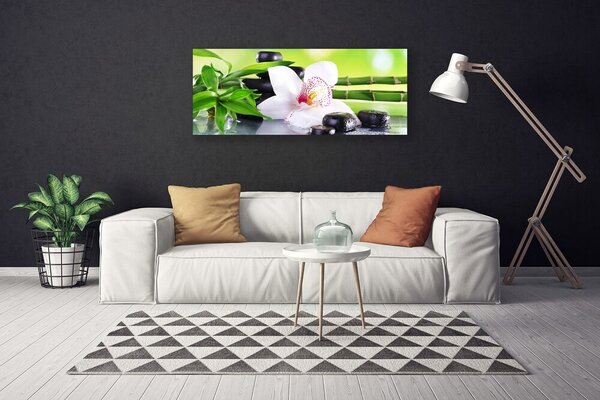 Obraz canvas Sielski Urok Polnej Łąki