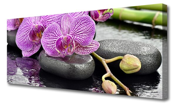 Obraz Canvas Storczyk Zen Orchidea Spa