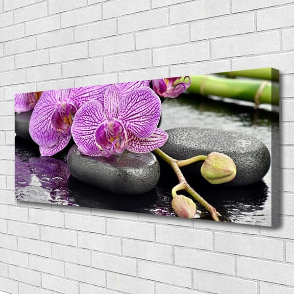 Obraz Canvas Storczyk Zen Orchidea Spa