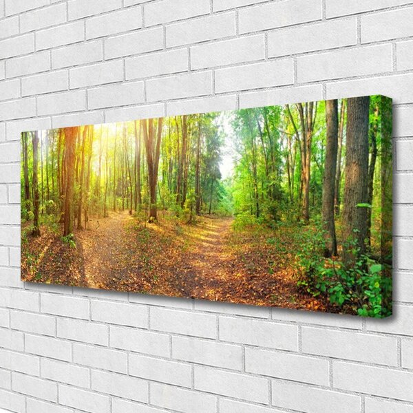 Obraz canvas Tulipany w Blasku Dnia
