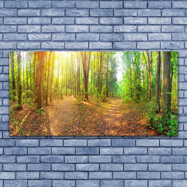 Obraz canvas Tulipany w Blasku Dnia
