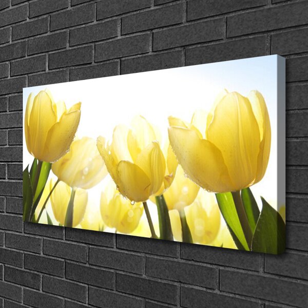 Obraz canvas Jezioro pod Leśną Kaskadą