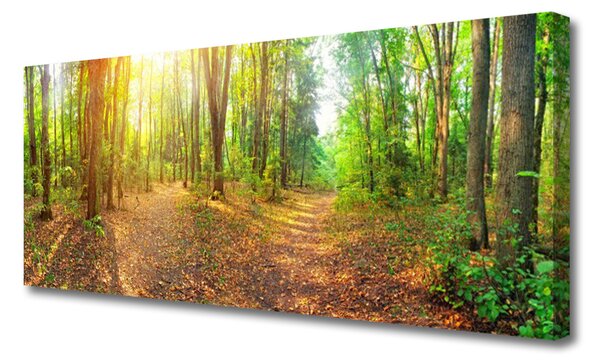 Obraz canvas Tulipany w Blasku Dnia