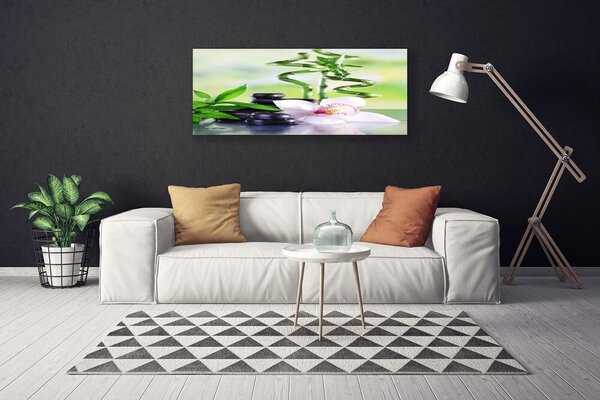 Obraz canvas Egzotyczna Harmonia Roślin