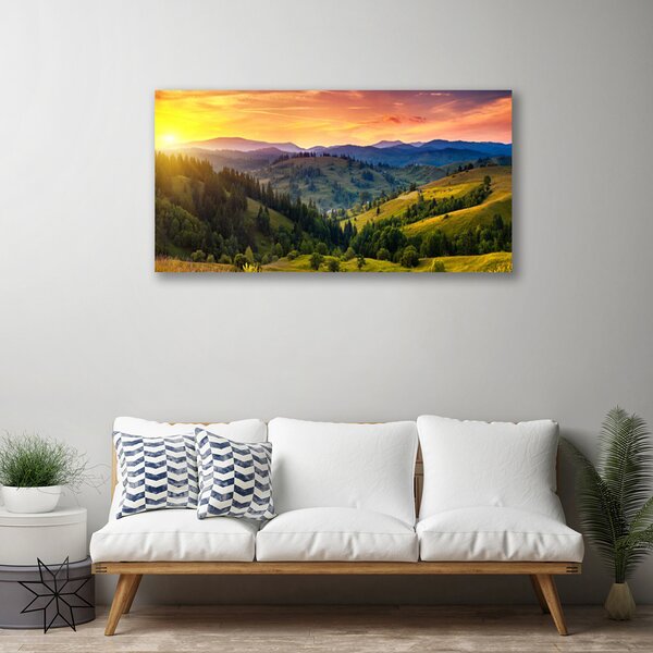 Obraz canvas Egzotyczny Kwiat Plumerii