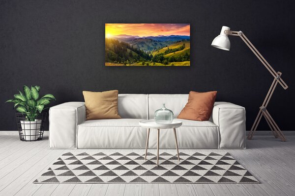 Obraz canvas Egzotyczny Kwiat Plumerii