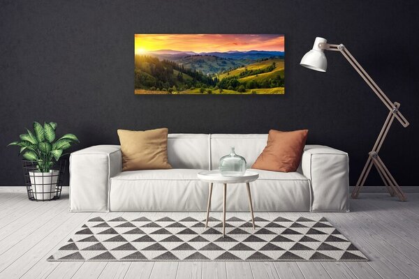Obraz canvas Egzotyczny Kwiat Plumerii