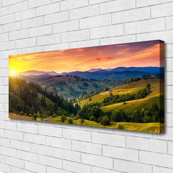 Obraz canvas Egzotyczny Kwiat Plumerii