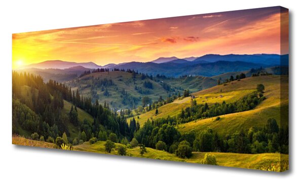 Obraz canvas Egzotyczny Kwiat Plumerii