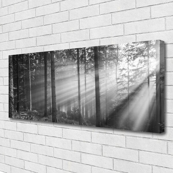 Obraz canvas na ścianę Kaskada nad Górską Przepaścią