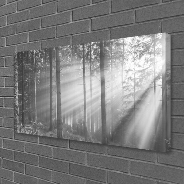 Obraz canvas na ścianę Kaskada nad Górską Przepaścią