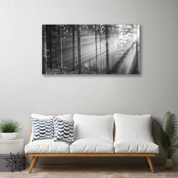 Obraz canvas na ścianę Kaskada nad Górską Przepaścią