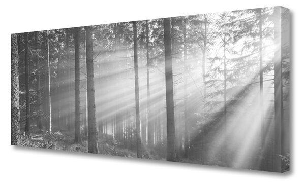 Obraz canvas na ścianę Kaskada nad Górską Przepaścią