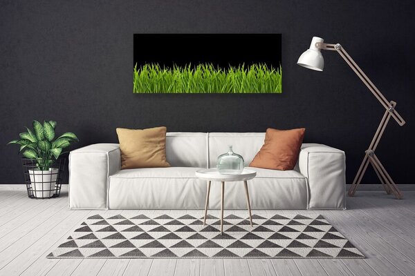 Obraz canvas Puszysta Kula Dmuchawca