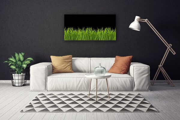 Obraz canvas Puszysta Kula Dmuchawca