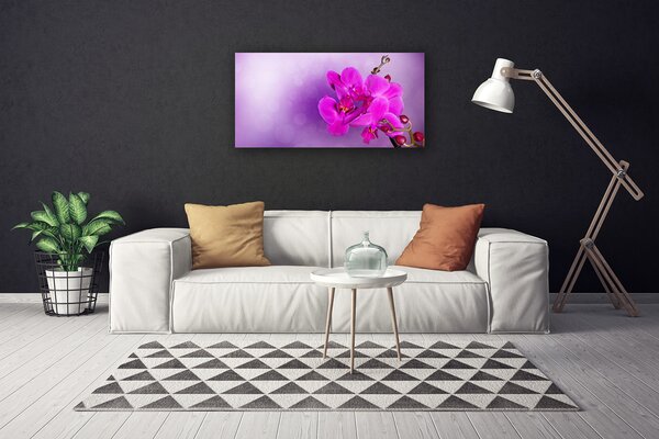 Obraz canvas Ostatnie Promienie nad Doliną