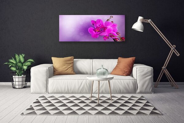 Obraz canvas Ostatnie Promienie nad Doliną