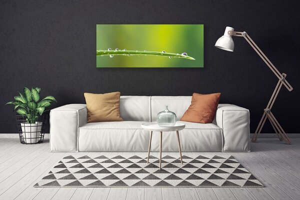 Obraz canvas Aksamitna Róża w Rozkwicie