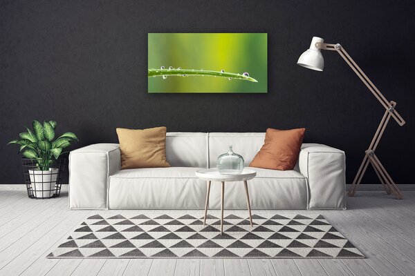 Obraz canvas Aksamitna Róża w Rozkwicie