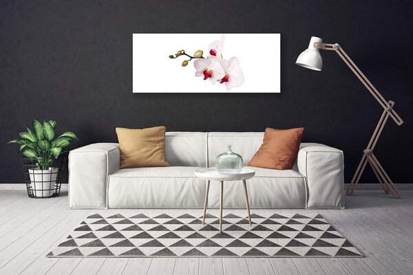 Obraz canvas Wieczorny Lot nad Łąką