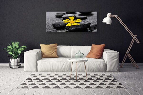 Obraz canvas Harmonia Zen: Róże i Skały