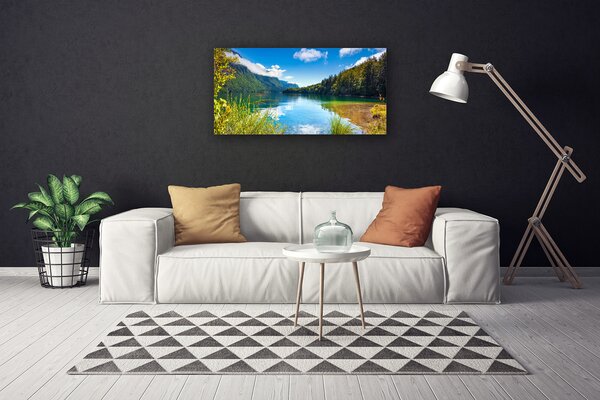 Obraz canvas Barwny Dywan Tulipanów