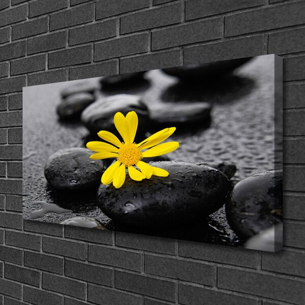 Obraz canvas Harmonia Zen: Róże i Skały