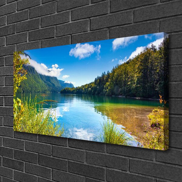 Obraz canvas Barwny Dywan Tulipanów