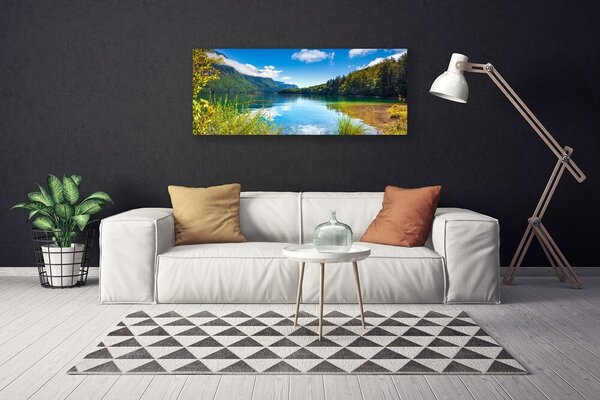 Obraz canvas Barwny Dywan Tulipanów