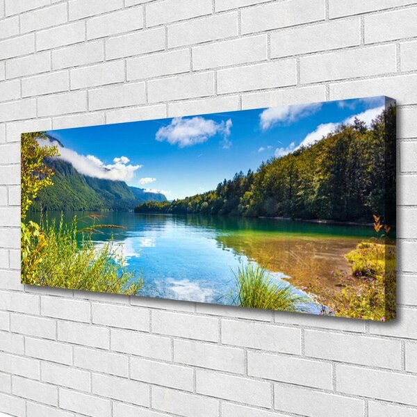 Obraz canvas Barwny Dywan Tulipanów